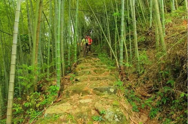 花都适合团建的地方