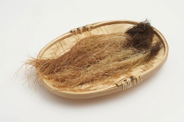 蒲公英泡水真的能对抗痛风吗？7种食物帮你食疗降尿酸