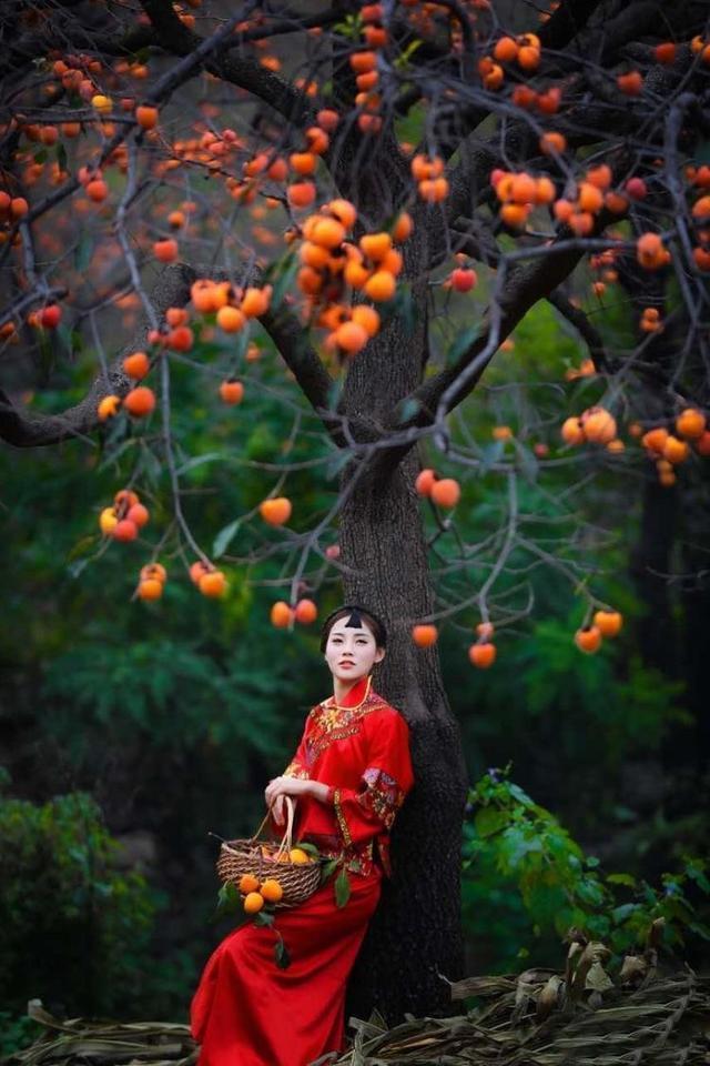 美文赏读：等