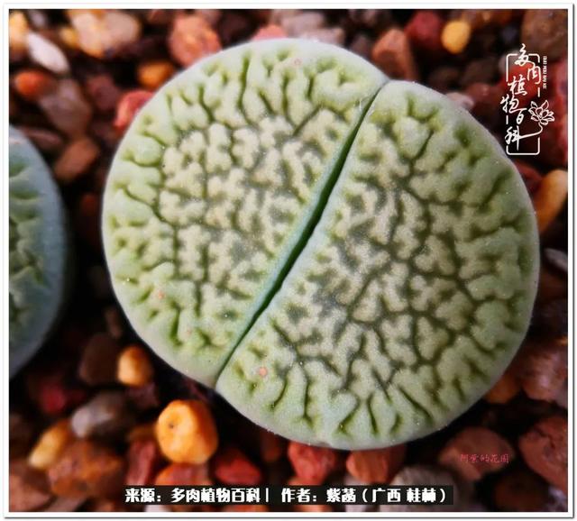 大型制砂机给力富贵机械