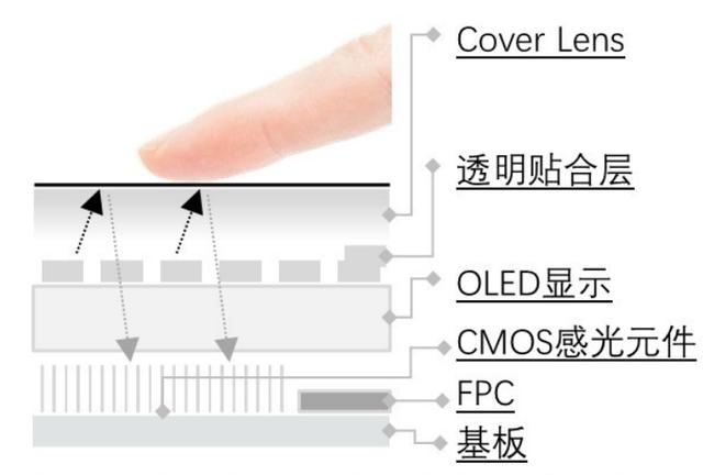 光学指纹识别芯片