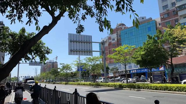 立夏公德已圆满