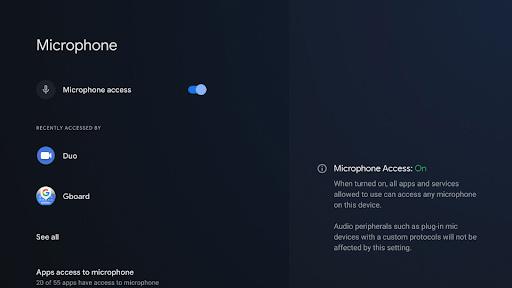 谷歌 Android TV 12 正式版发布：支持 4K UI，隐私功能提升