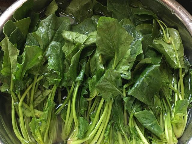 10种含“天然高叶酸”的食材，春天建议中老年人多吃，早吃早受益