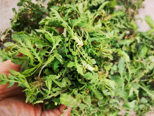 春分至、万物发，记得吃2样忌1样，寓意春分得意，往后日子更顺利