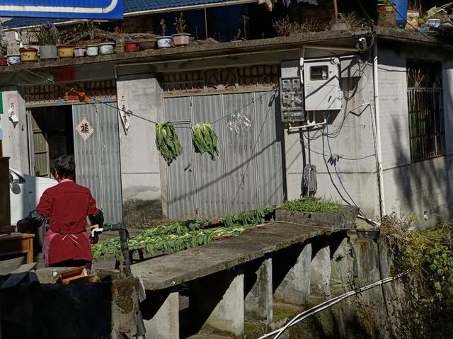 慶元村落｜壩頭村 · 千年古村藏深閨 靜候貴客探新顔