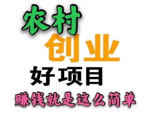 返乡创业项目，农村干啥赚钱返乡创业这5个致富好项目，搞好了你也能月入过万