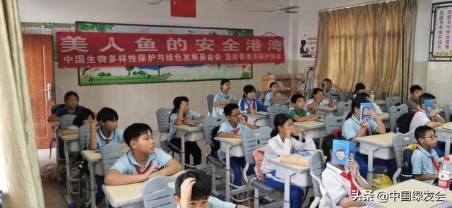 小学生海洋工程的展报
