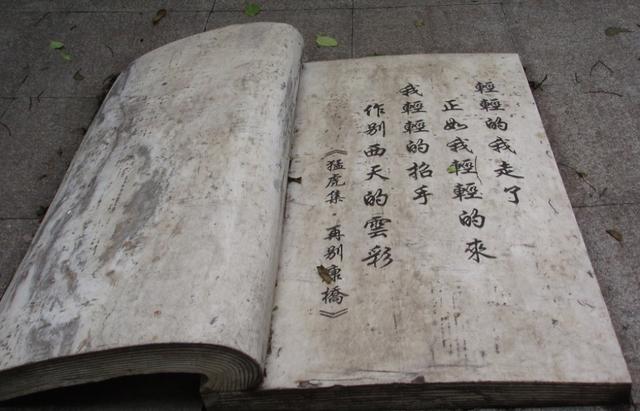 徐志摩可怜死状：脑袋上有个大洞，四肢被熊熊的烈火，炙烤成焦炭