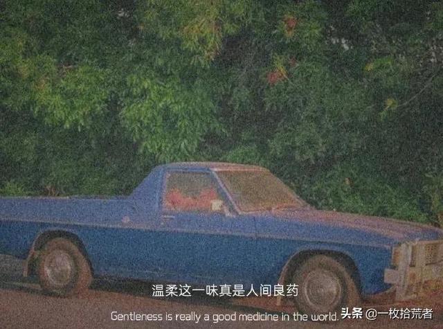 网易云热评分享：我从不惧怕黑暗，假如我从未见过光明