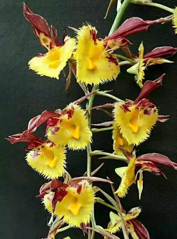晨光暮语集