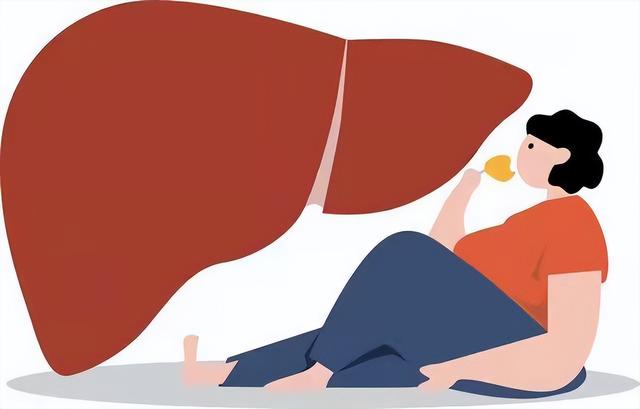 抗炎、降酶、抗纤维化，3种治疗脂肪肝的中成药，来看您了解吗？