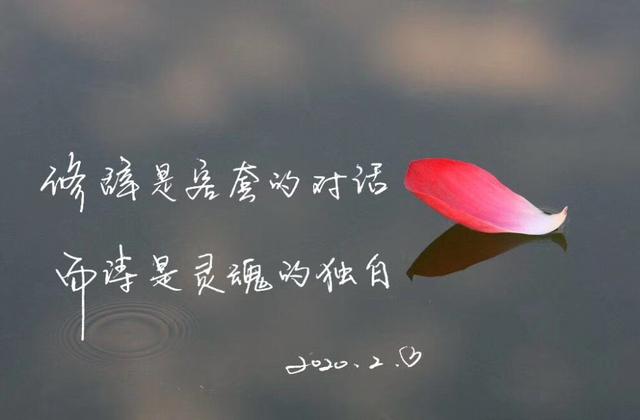 梦到白马是什么意思