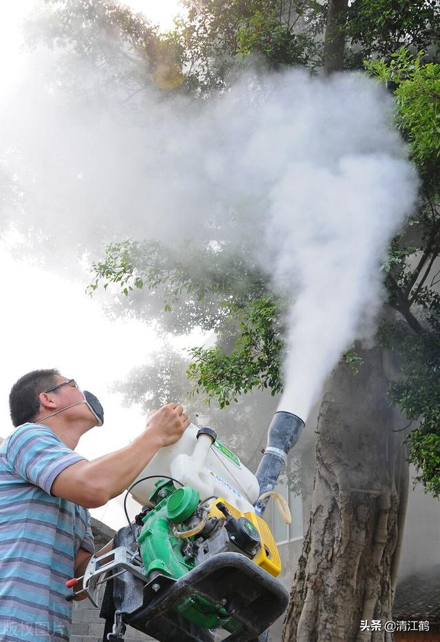 除草剂灭大树好轻松：效果虽好但也要用对方法3