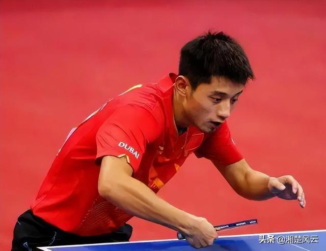 爱运动的明星名字(爱运动的明星都有谁)