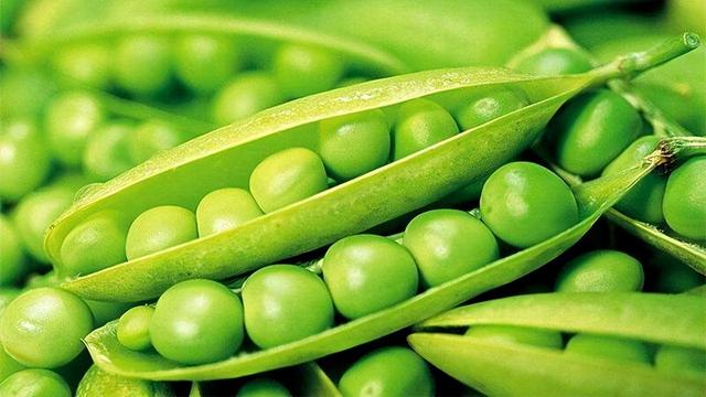 蚕豆和豌豆的区别在哪里？建议：食用时注意这2点，或有助健康
