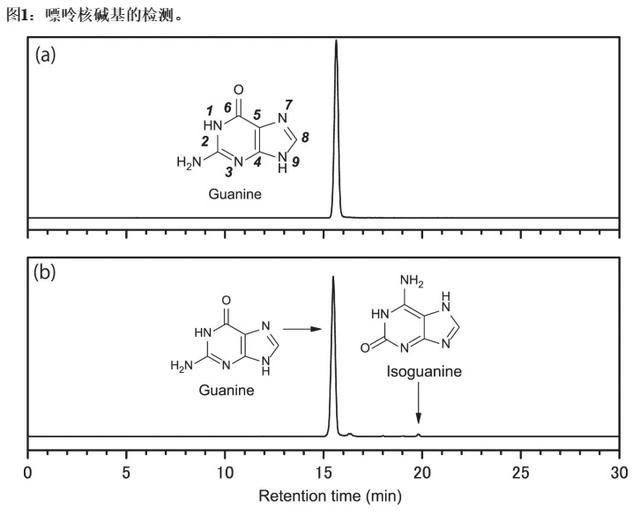 我们都是外星后代？70亿岁陨石发现DNA成分！地球生命或来自太空
