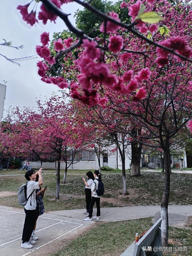 在这城市里有多少人和我一样为了生活拼搏