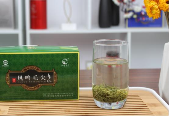 中国“最好喝”绿茶省份排行榜，这4款名列前茅，看有你的家乡吗