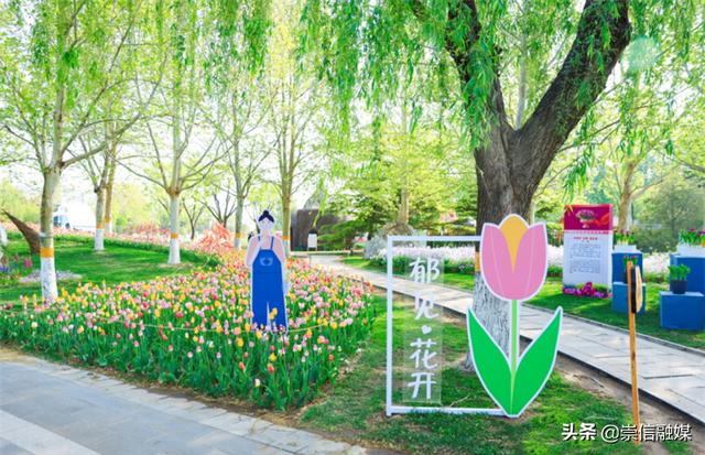 赏一片花海，读一本好书，这个“花园书房”太美妙了！