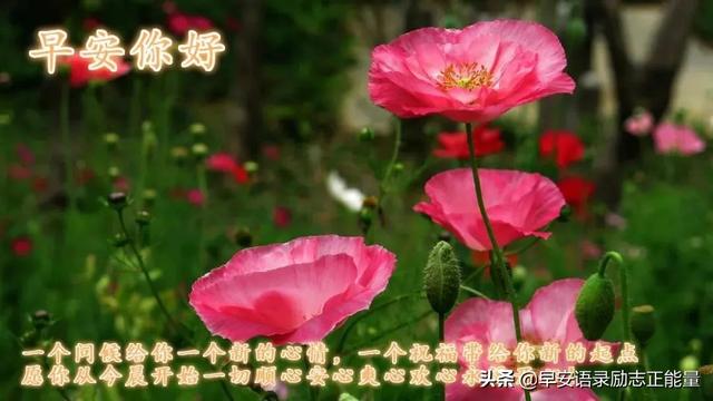 朋友圈最伤感的心灵鸡汤心情说说，朋友圈励志早安心语满满正能量