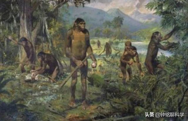 人类都是早产儿？人体的这个结构，让原本怀孕21月变成了怀胎10月