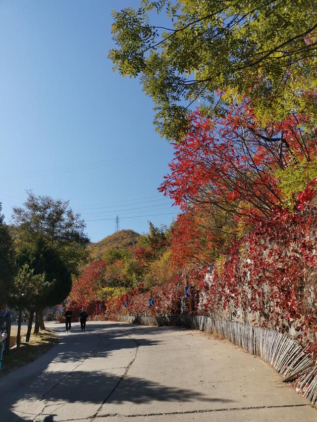 北京，缤紛的秋