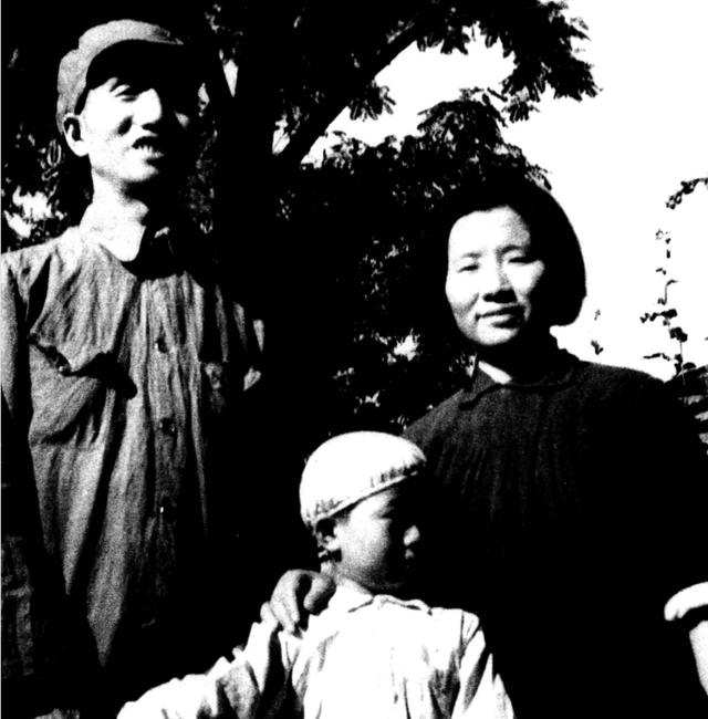 徐向前临终前，握着李先念的手说：我有三个遗愿，你要帮我实现