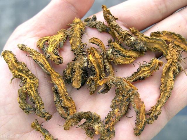 脾胃气虚，清阳不升？会四肢困乏，大便稀溏，应当升阳益胃