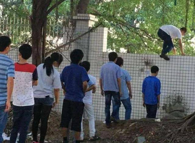 “14岁现象”愁坏家长，孩子叛逆的表象下，藏着什么秘密？