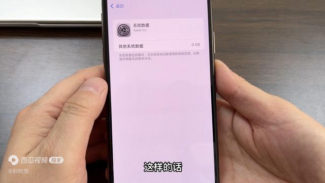 苹果怎么清理系统垃圾(怎么清理系统应用)
