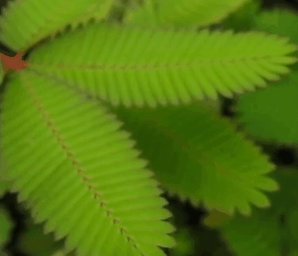 顿悟！当我把孩子当种子养，整个人都好多了