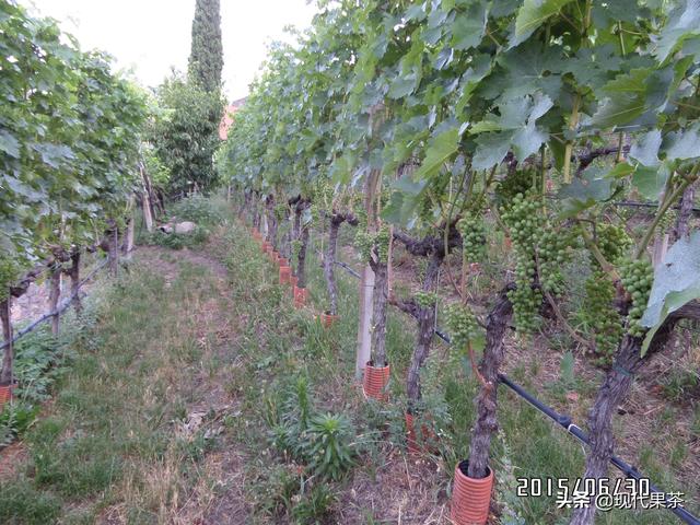 2018年意大利农业机械展