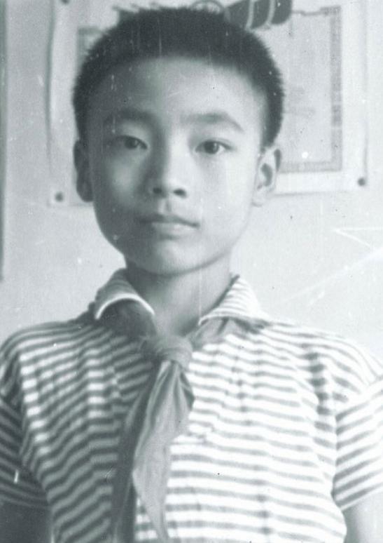 康辉：娶师妹刘雅洁，丁克22年让父母抱憾离世，风光的背后是眼泪