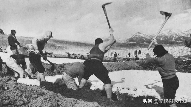日本在东北藏了多少宝贝？日本老兵说漏嘴：藏在这但没人找得到