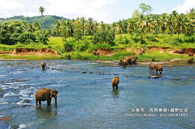 古文明的萬花筒：少數民族爲何彙聚雲南？