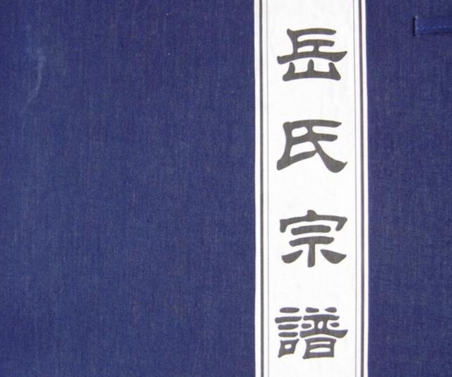岳飞死后，好友保下岳飞儿子，岳家为感恩立祖训：两家永不通婚