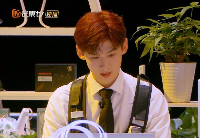 明星大侦探1西瓜影视(明星大侦探第二季免费播放全集)