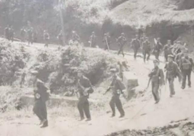 1981年血战法卡山：越军敢死队抬棺参战，解放军用刺刀逼退敌人