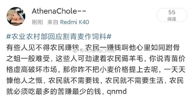 小麦青储疑云，把没熟的麦子割了怎么可能更赚钱？