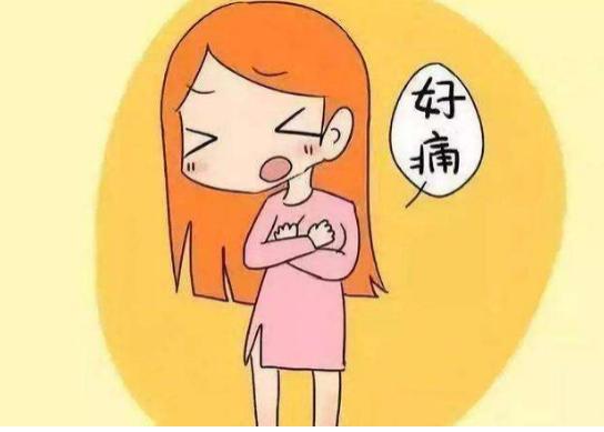 【马博士女性“养生馆”】药食同源：玫瑰花的日常应用