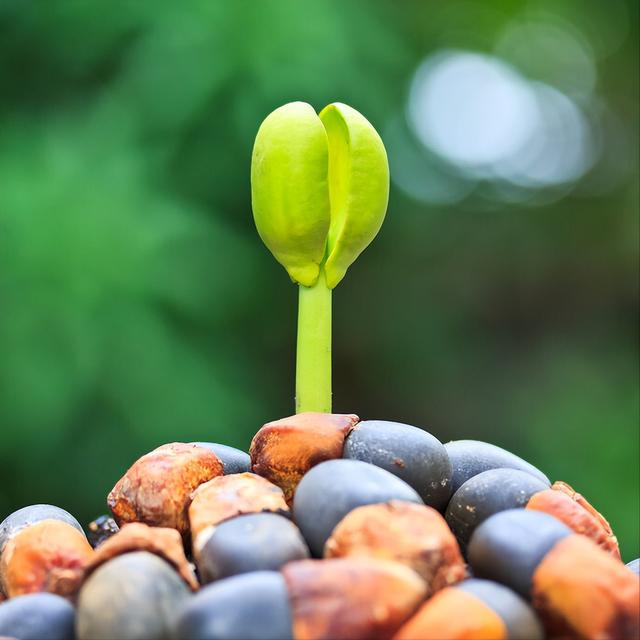 这5句谷雨文案，看看是不是你的灵感及时雨