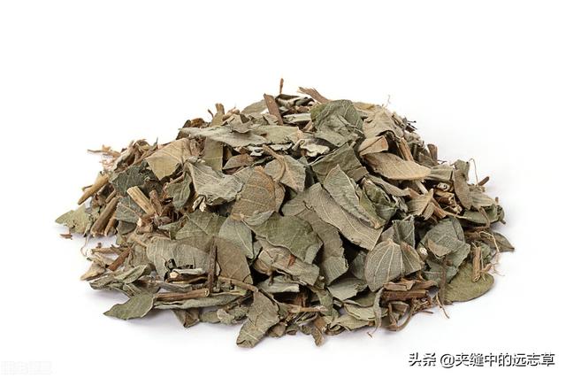 结石？送你三味中药，清热利湿，散结消石，不来了解下吗？