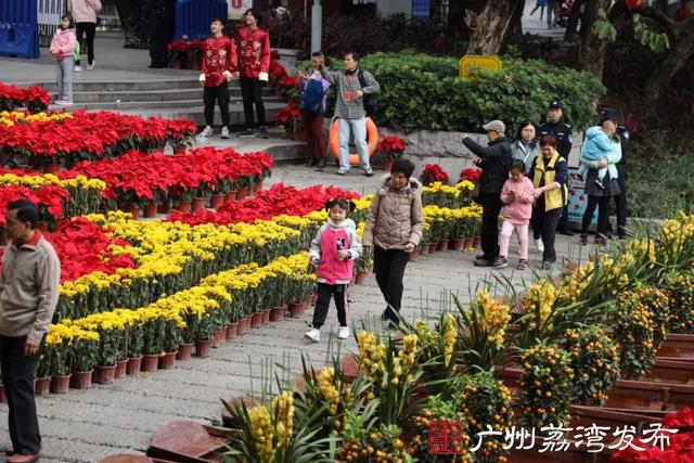 广州花卉批发市场在哪里