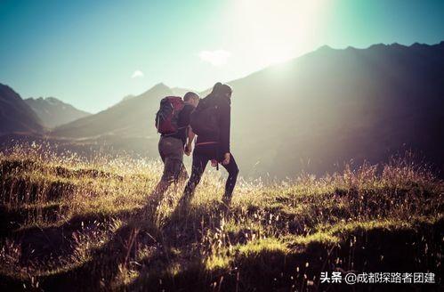 成都树虎团建科技有限公司