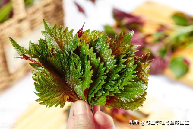 慢性咽炎？嗓子总有异物感，3味中药煮水，利咽，行气，化痰