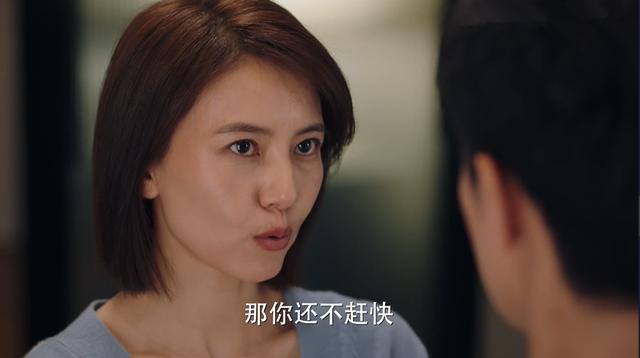 完美伴侣电视剧全集多少集(完美伴侣电视连续剧共多少集)