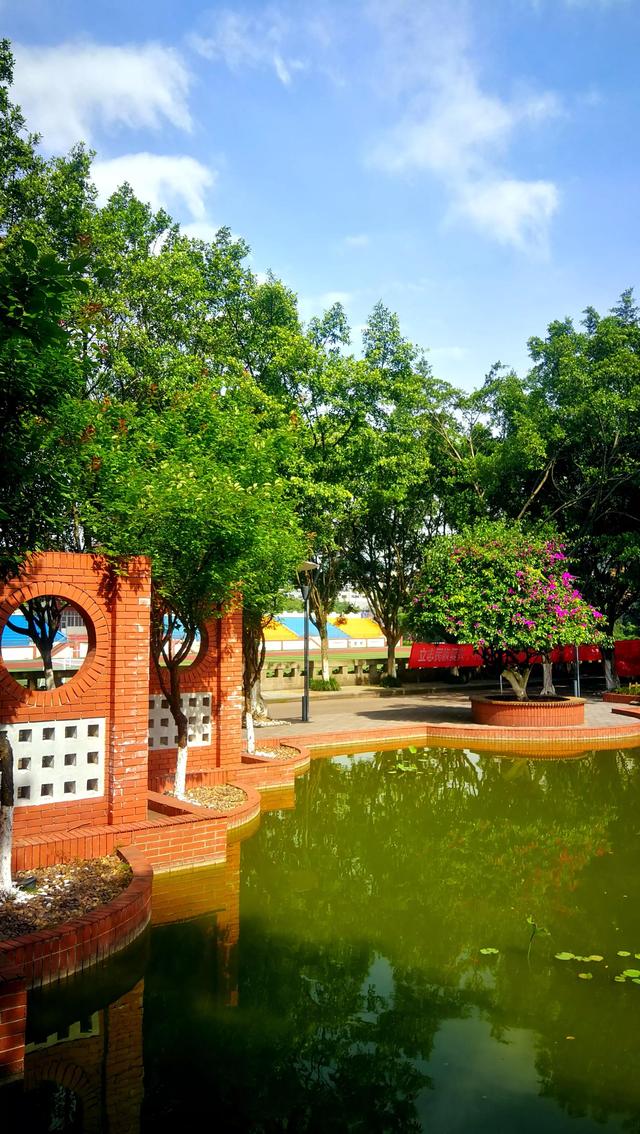 夏日里，美丽校园
