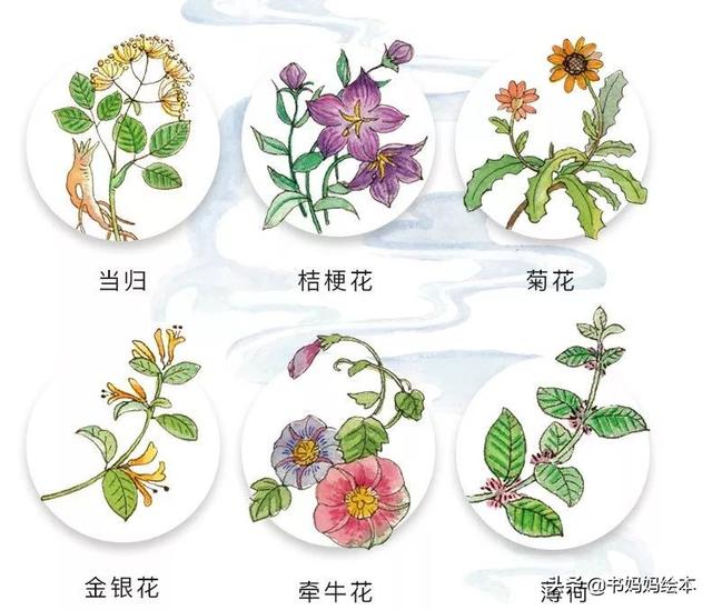 10本植物科普书籍推荐，让孩子在家也能探索大自然的奥秘