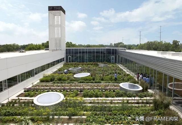 ​城市农业：“可以吃”的社区、超市变“农场”、鱼菜共生系统
